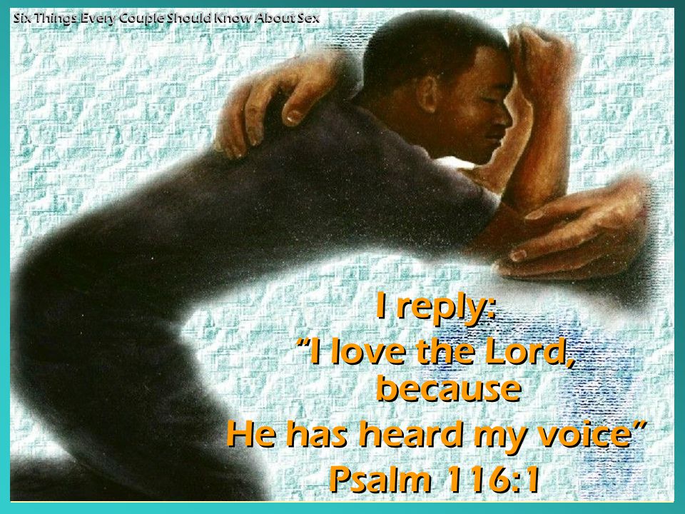 I reply: I love the Lord, because He has heard my voice Psalm 116:1 I reply: I love the Lord, because He has heard my voice Psalm 116:1 Six Things Every Couple Should Know About Sex