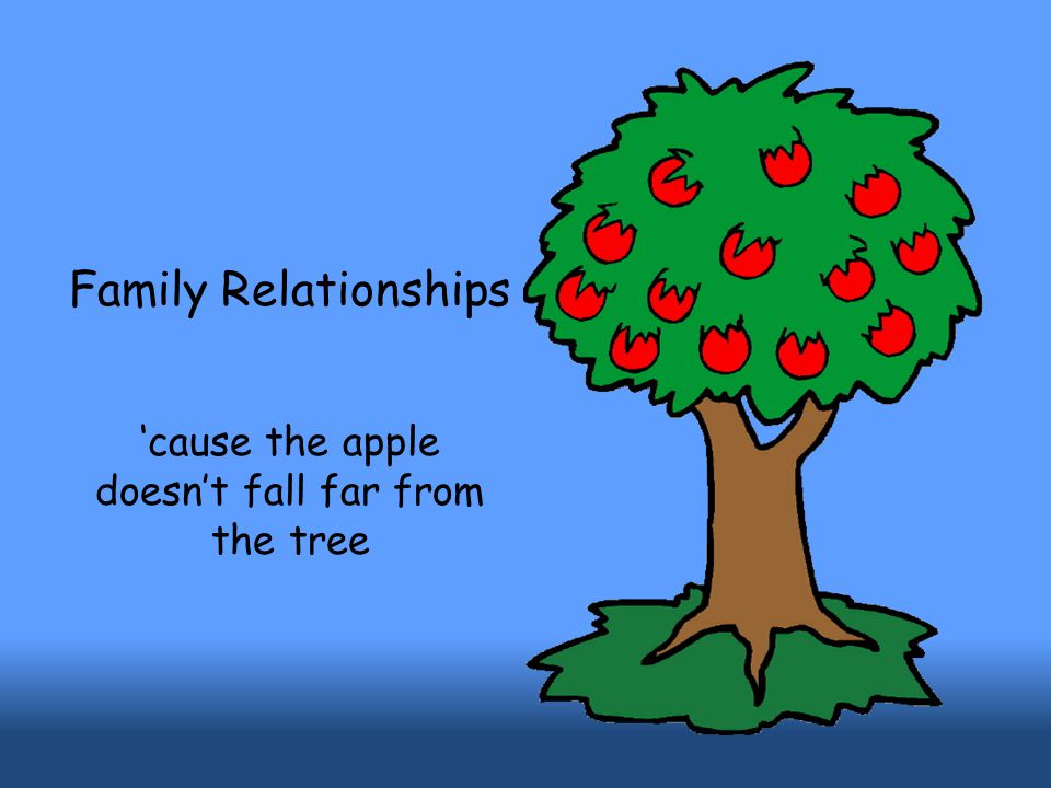 Family Relationships ‘cause the apple doesn’t fall far from the tree