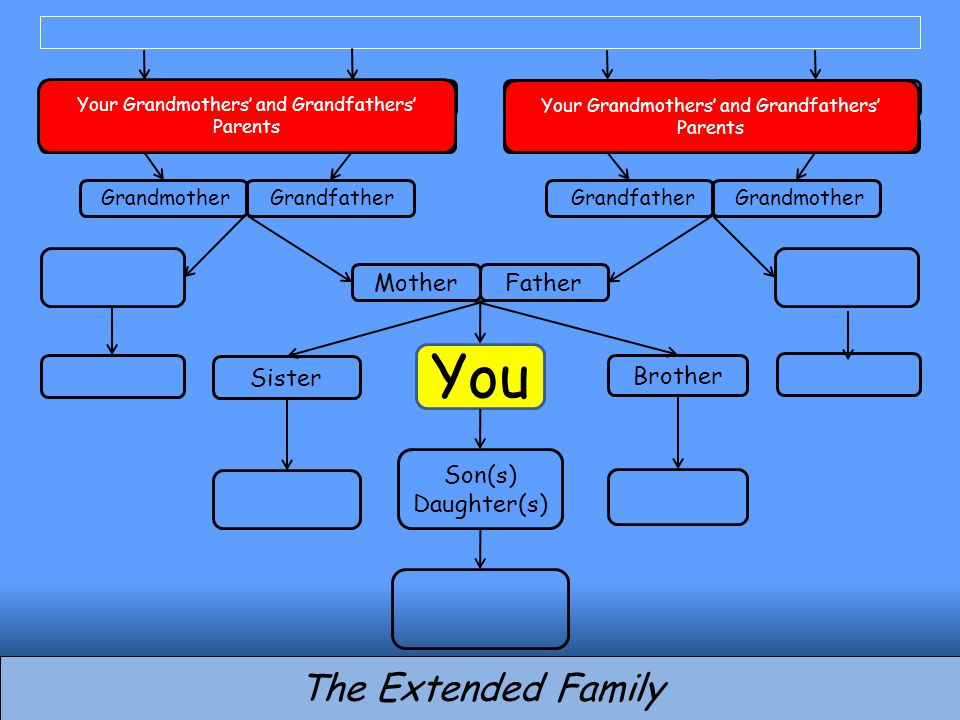 You Brother Son(s) Daughter(s) MotherFather Sister The Extended Family Grandfather Grandmother Grandfather Your Grandmothers’ and Grandfathers’ Parents