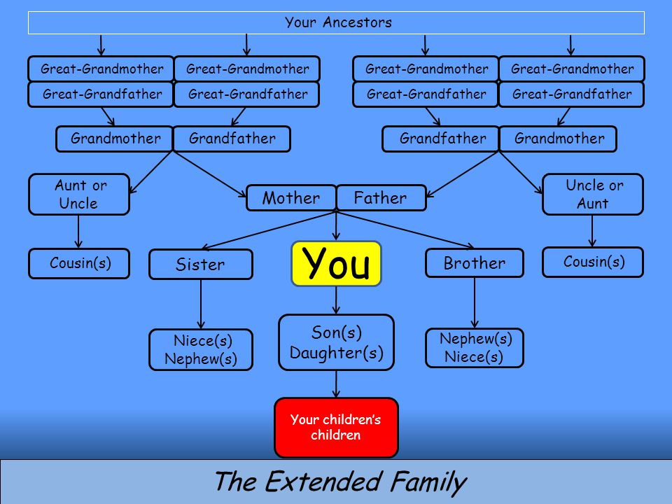 You Brother Son(s) Daughter(s) MotherFather Sister The Extended Family Grandfather Grandmother Grandfather Great-Grandfather Great-Grandmother Great-Grandfather Great-Grandmother Great-Grandfather Great-Grandmother Great-Grandfather Great-Grandmother Nephew(s) Niece(s) Niece(s) Nephew(s) Aunt or Uncle Uncle or Aunt Cousin(s) Your Ancestors Your children’s children