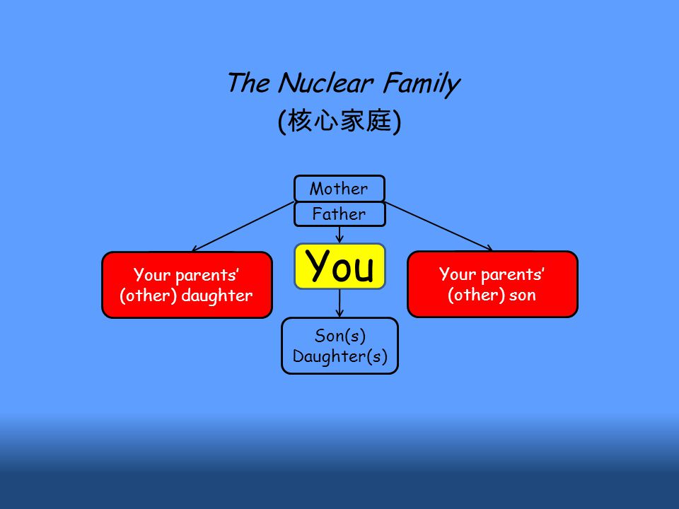 You Son(s) Daughter(s) Mother Father The Nuclear Family ( 核心家庭 ) Your parents’ (other) daughter Your parents’ (other) son