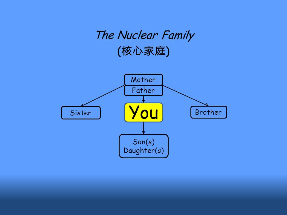 You Brother Son(s) Daughter(s) Mother Father Sister The Nuclear Family ( 核心家庭 )