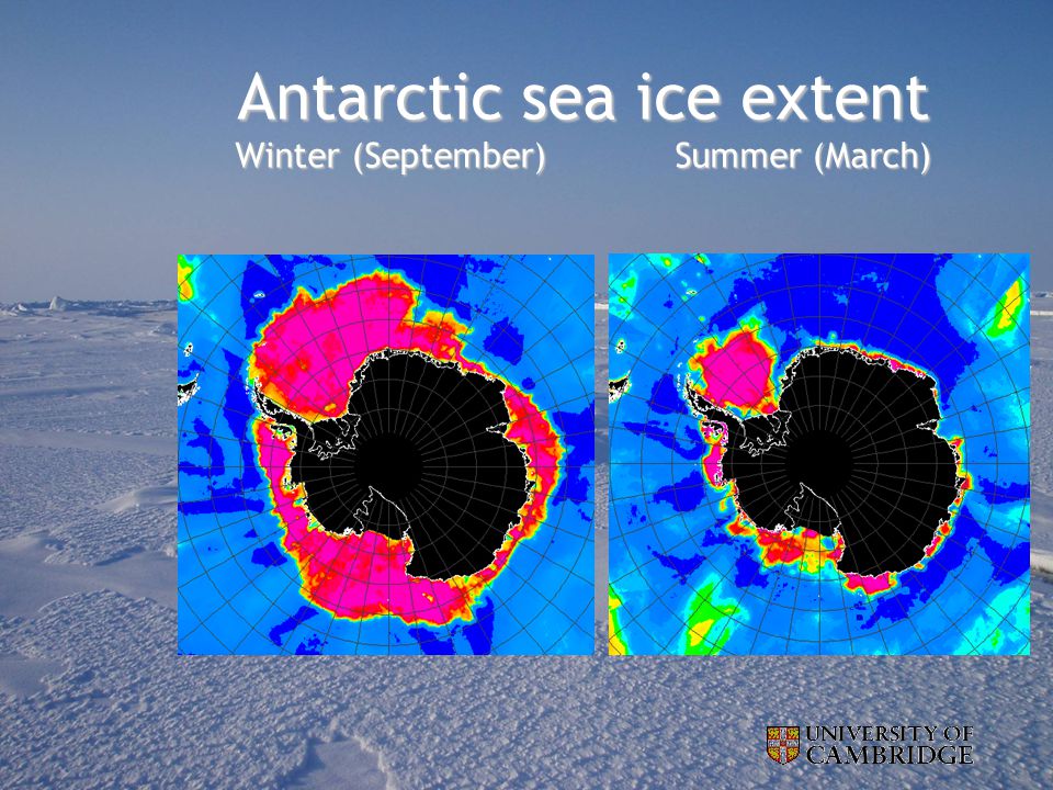 Antarctic sea ice extent Winter (September) Summer (March)