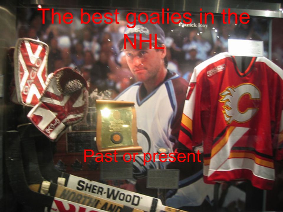 The best goalies in the NHL Past or present