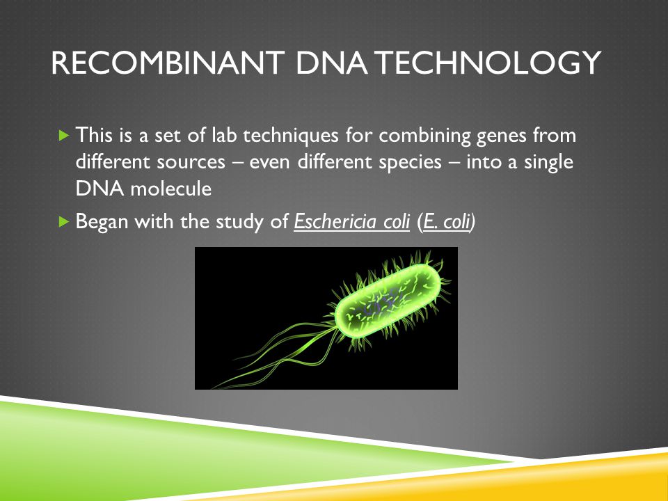 RECOMBINANT DNA TECHNOLOGY  This is a set of lab techniques for combining genes from different sources – even different species – into a single DNA molecule  Began with the study of Eschericia coli (E.