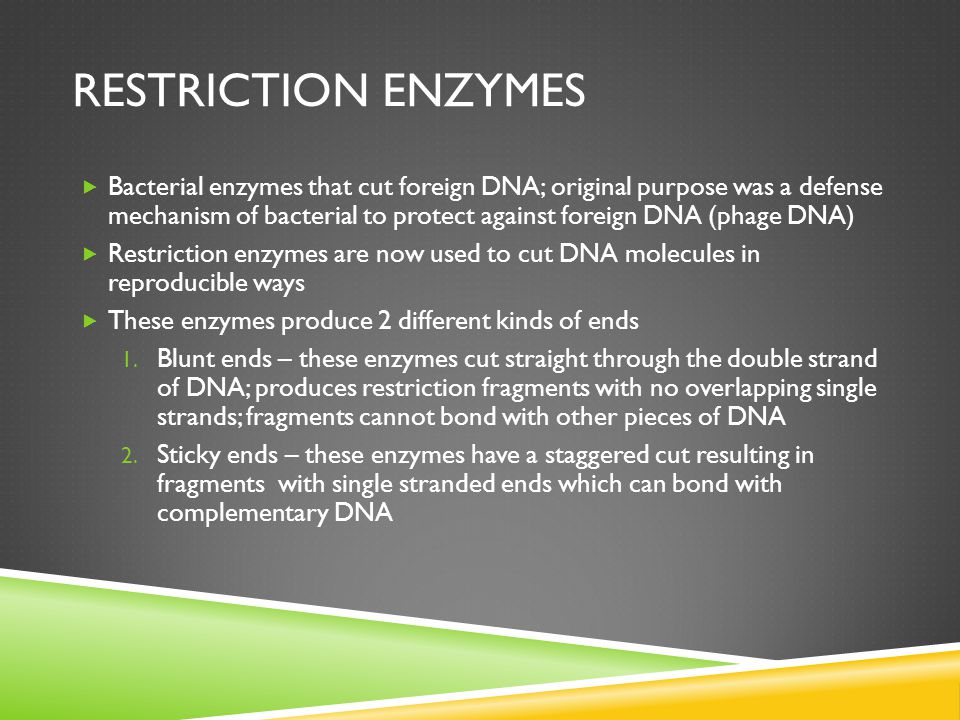 RESTRICTION ENZYMES  Bacterial enzymes that cut foreign DNA; original purpose was a defense mechanism of bacterial to protect against foreign DNA (phage DNA)  Restriction enzymes are now used to cut DNA molecules in reproducible ways  These enzymes produce 2 different kinds of ends 1.