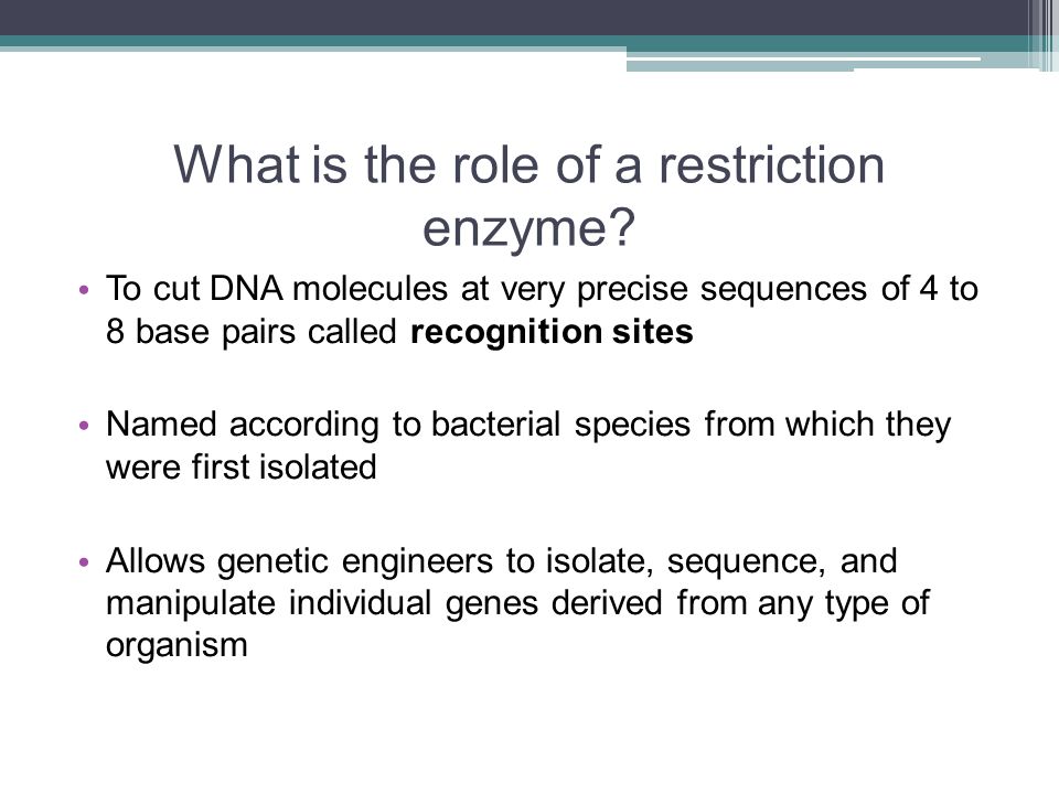 What is the role of a restriction enzyme.