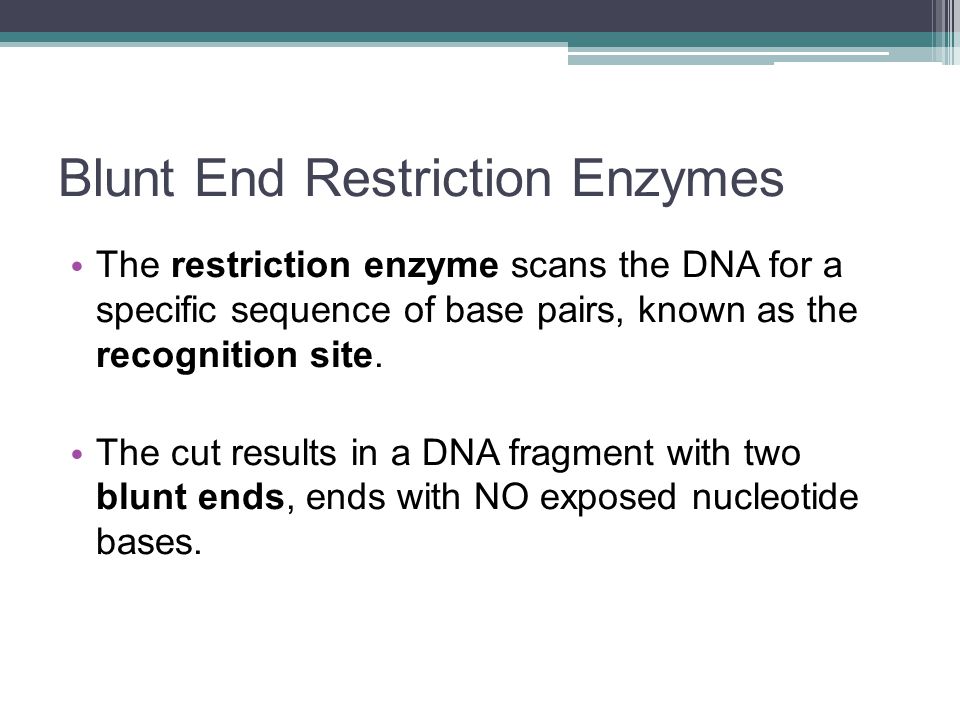 Blunt End Restriction Enzymes The restriction enzyme scans the DNA for a specific sequence of base pairs, known as the recognition site.
