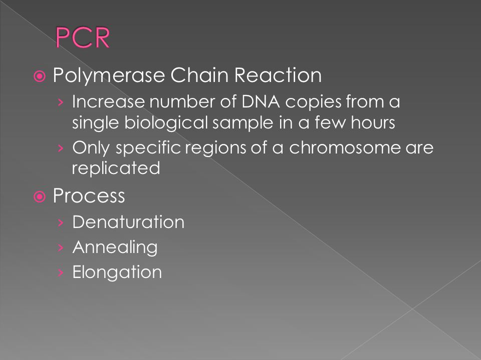  Polymerase Chain Reaction › Increase number of DNA copies from a single biological sample in a few hours › Only specific regions of a chromosome are replicated  Process › Denaturation › Annealing › Elongation