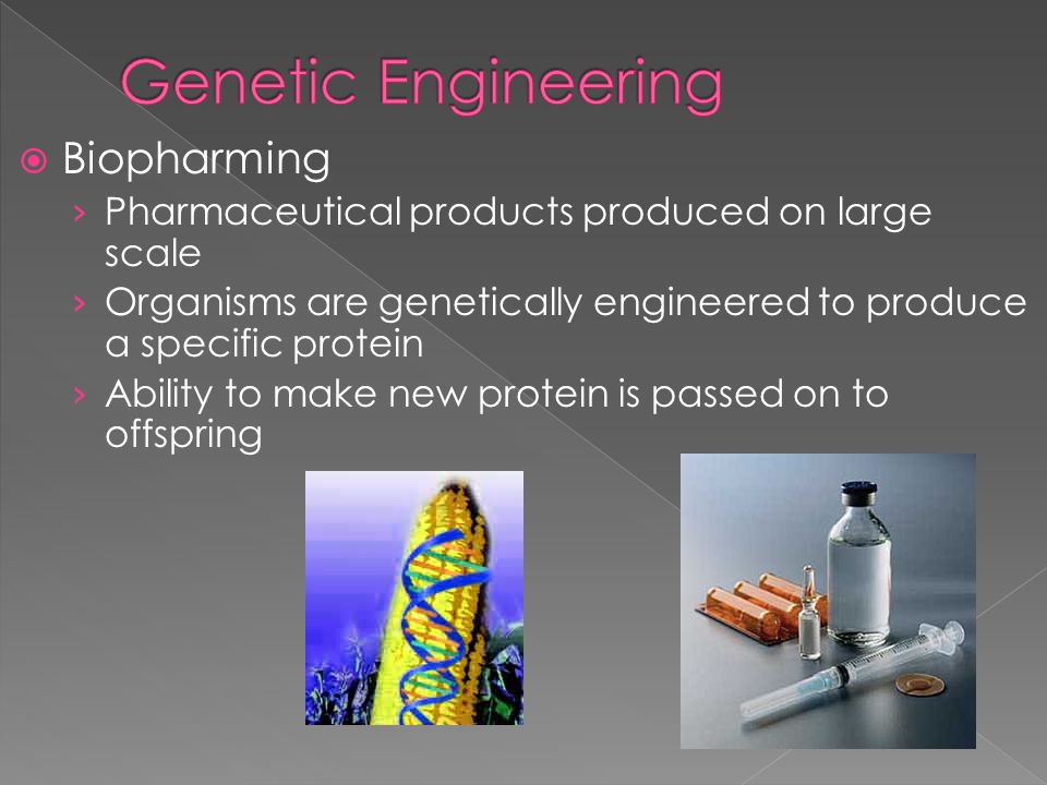  Biopharming › Pharmaceutical products produced on large scale › Organisms are genetically engineered to produce a specific protein › Ability to make new protein is passed on to offspring