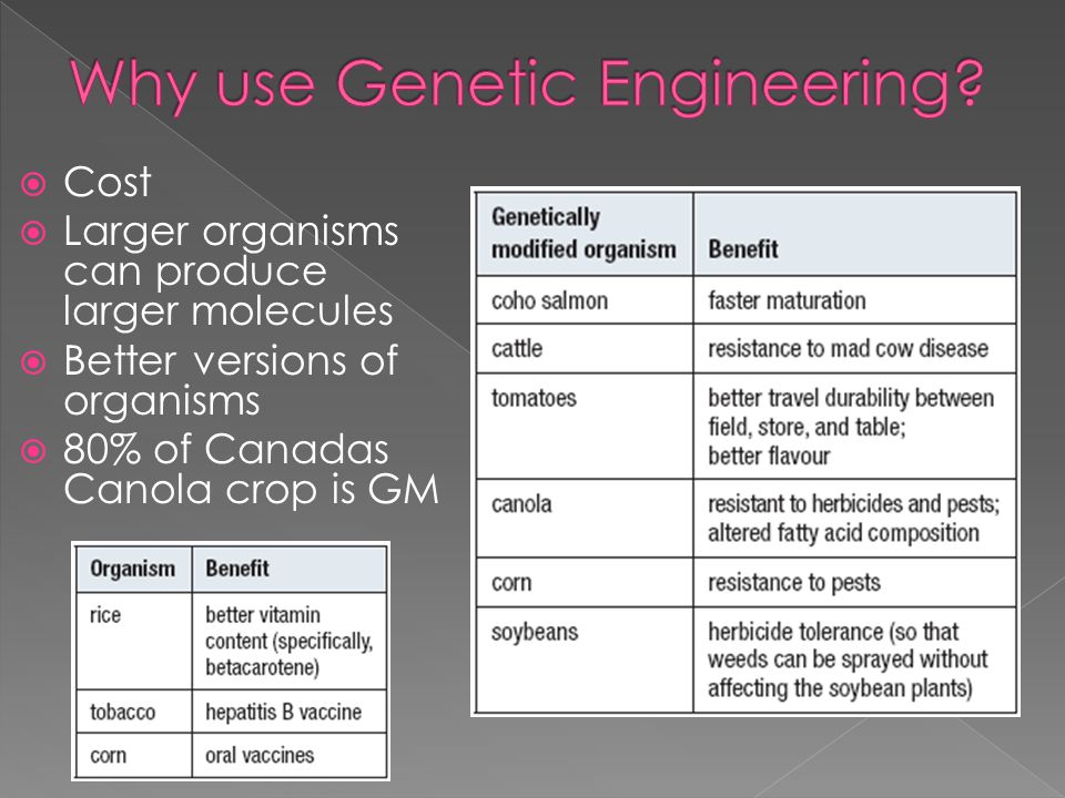  Cost  Larger organisms can produce larger molecules  Better versions of organisms  80% of Canadas Canola crop is GM