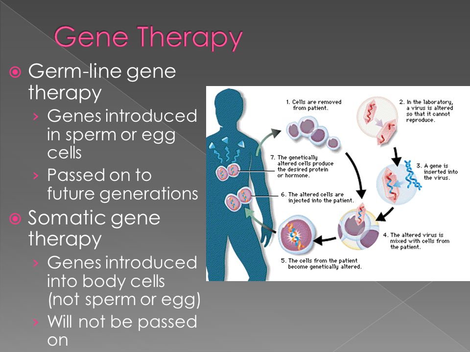  Germ-line gene therapy › Genes introduced in sperm or egg cells › Passed on to future generations  Somatic gene therapy › Genes introduced into body cells (not sperm or egg) › Will not be passed on