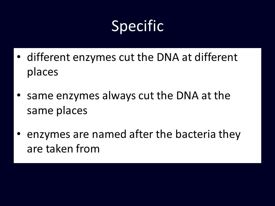 Specific different enzymes cut the DNA at different places same enzymes always cut the DNA at the same places enzymes are named after the bacteria they are taken from