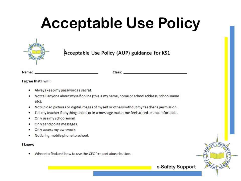 e-Safety Support Acceptable Use Policy