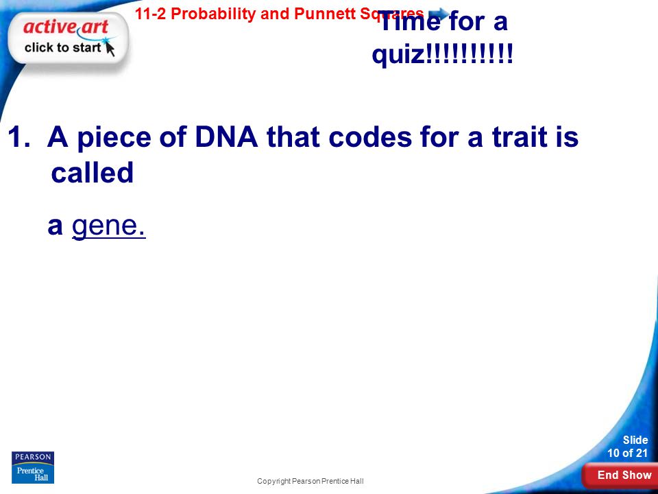 End Show 11-2 Probability and Punnett Squares Slide 10 of 21 Copyright Pearson Prentice Hall Time for a quiz!!!!!!!!!.