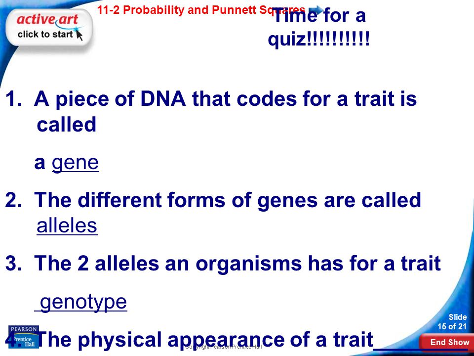 End Show 11-2 Probability and Punnett Squares Slide 15 of 21 Copyright Pearson Prentice Hall Time for a quiz!!!!!!!!!.