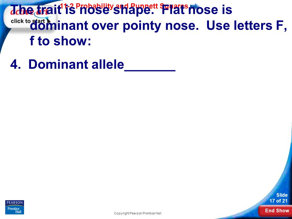 End Show 11-2 Probability and Punnett Squares Slide 17 of 21 Copyright Pearson Prentice Hall The trait is nose shape.