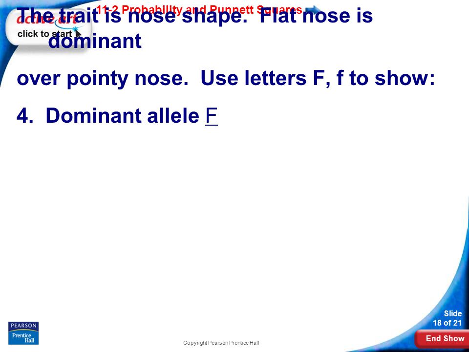 End Show 11-2 Probability and Punnett Squares Slide 18 of 21 Copyright Pearson Prentice Hall The trait is nose shape.