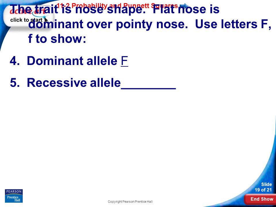 End Show 11-2 Probability and Punnett Squares Slide 19 of 21 Copyright Pearson Prentice Hall The trait is nose shape.