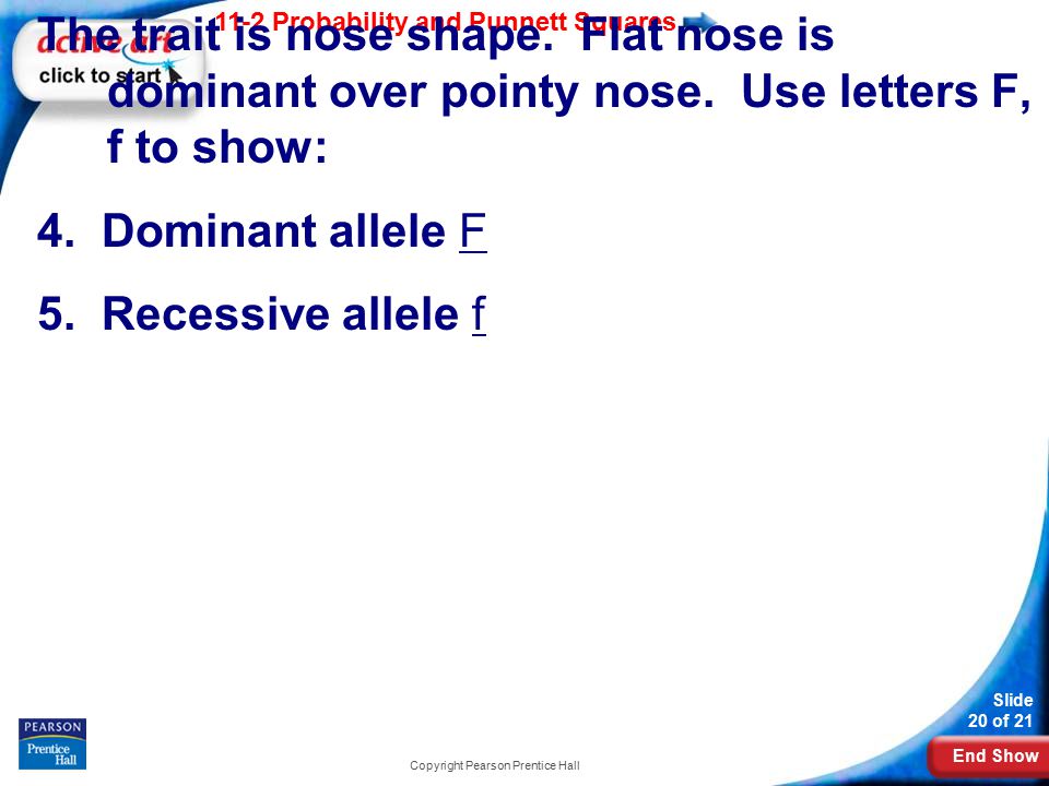 End Show 11-2 Probability and Punnett Squares Slide 20 of 21 Copyright Pearson Prentice Hall The trait is nose shape.