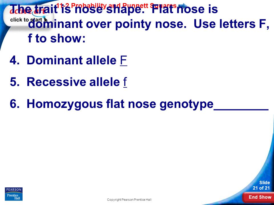 End Show 11-2 Probability and Punnett Squares Slide 21 of 21 Copyright Pearson Prentice Hall The trait is nose shape.