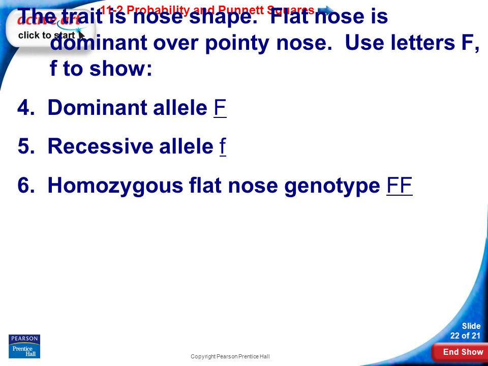 End Show 11-2 Probability and Punnett Squares Slide 22 of 21 Copyright Pearson Prentice Hall The trait is nose shape.