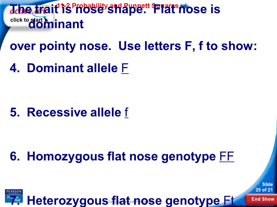 End Show 11-2 Probability and Punnett Squares Slide 25 of 21 Copyright Pearson Prentice Hall The trait is nose shape.