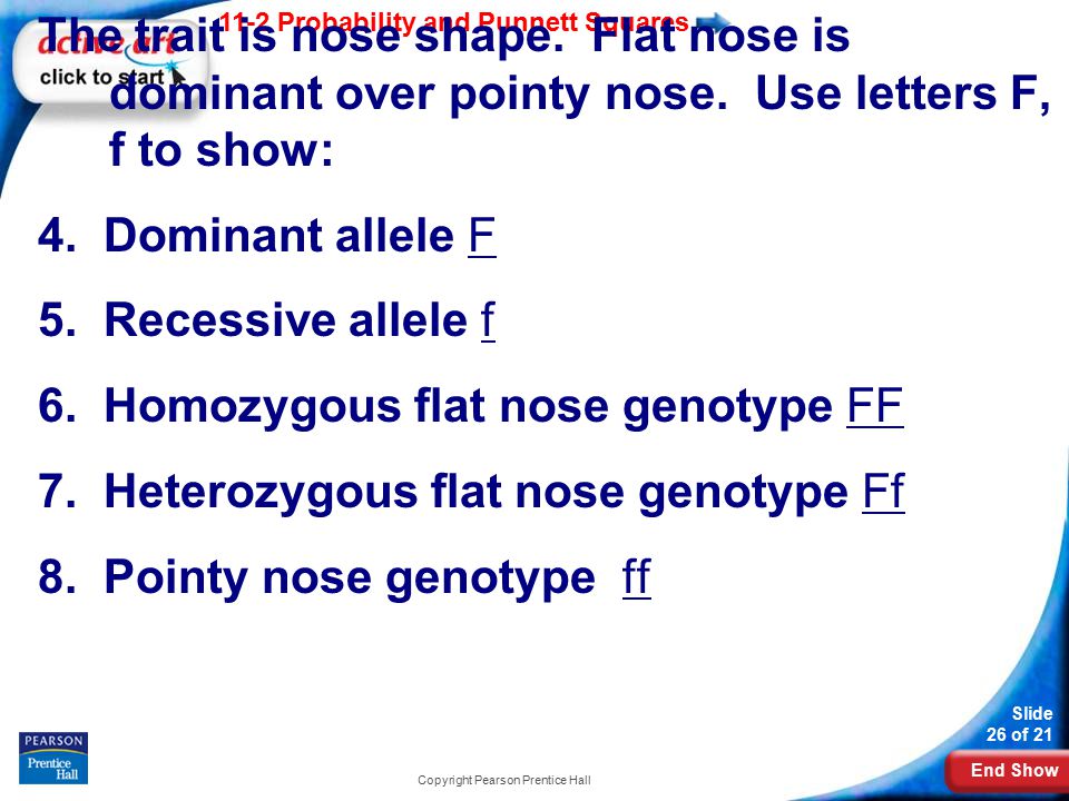 End Show 11-2 Probability and Punnett Squares Slide 26 of 21 Copyright Pearson Prentice Hall The trait is nose shape.
