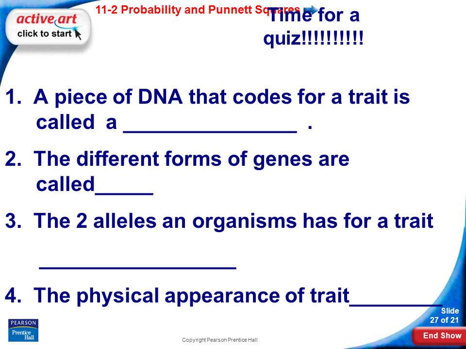 End Show 11-2 Probability and Punnett Squares Slide 27 of 21 Copyright Pearson Prentice Hall Time for a quiz!!!!!!!!!.
