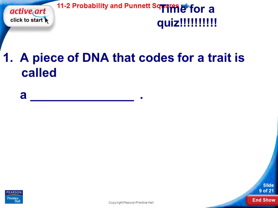 End Show 11-2 Probability and Punnett Squares Slide 9 of 21 Copyright Pearson Prentice Hall Time for a quiz!!!!!!!!!.