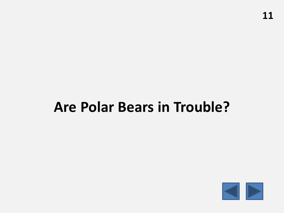 Are Polar Bears in Trouble 11