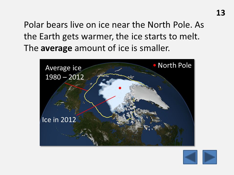 13 Polar bears live on ice near the North Pole. As the Earth gets warmer, the ice starts to melt.
