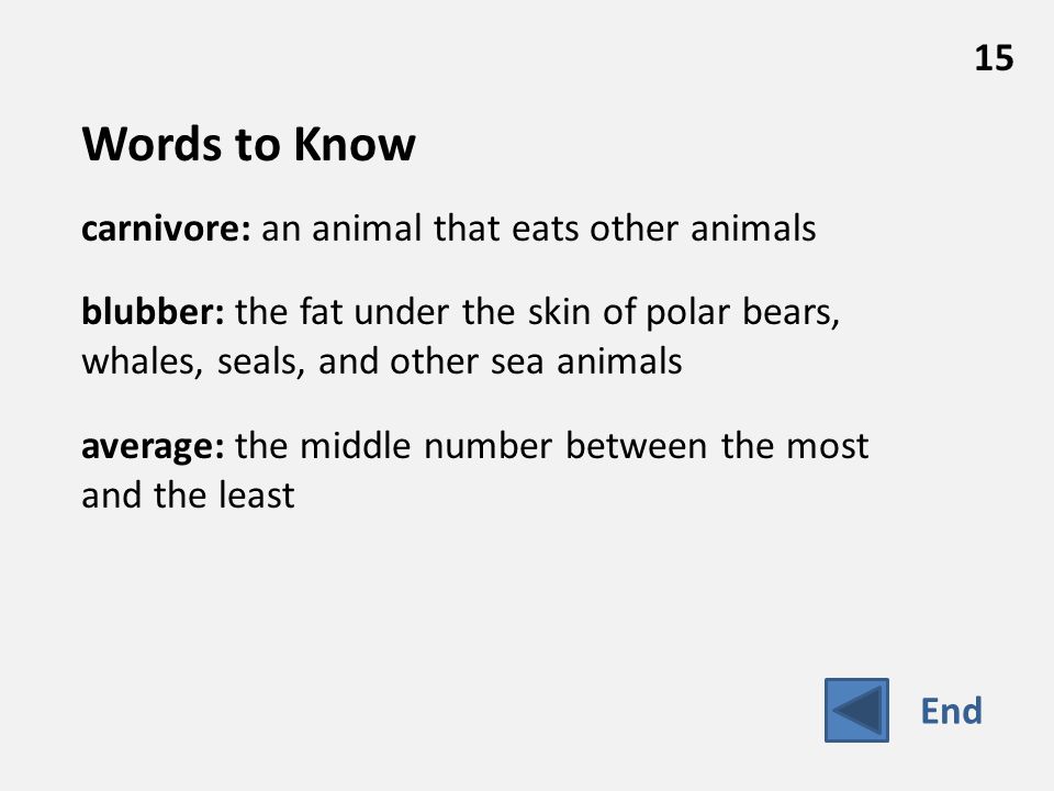Words to Know carnivore: an animal that eats other animals blubber: the fat under the skin of polar bears, whales, seals, and other sea animals average: the middle number between the most and the least 15 End