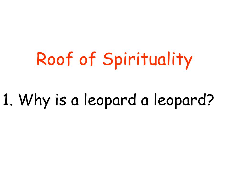 1.Why is a leopard a leopard