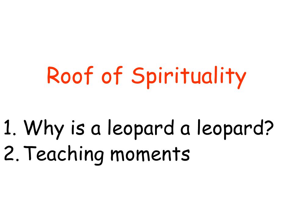 Roof of Spirituality 1.Why is a leopard a leopard 2.Teaching moments