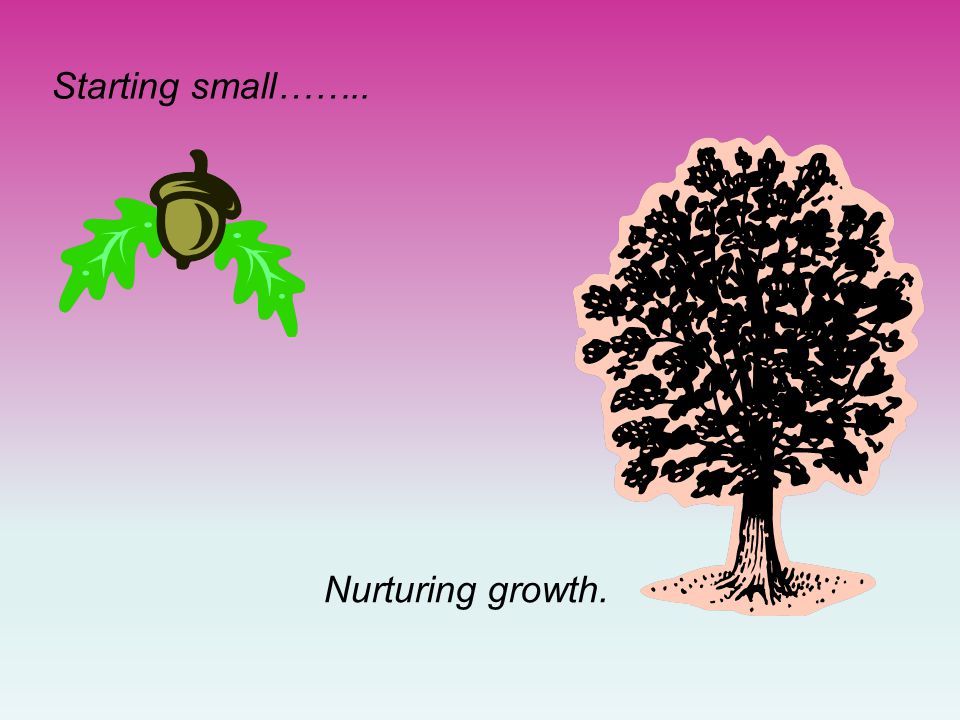 Starting small…….. Nurturing growth.