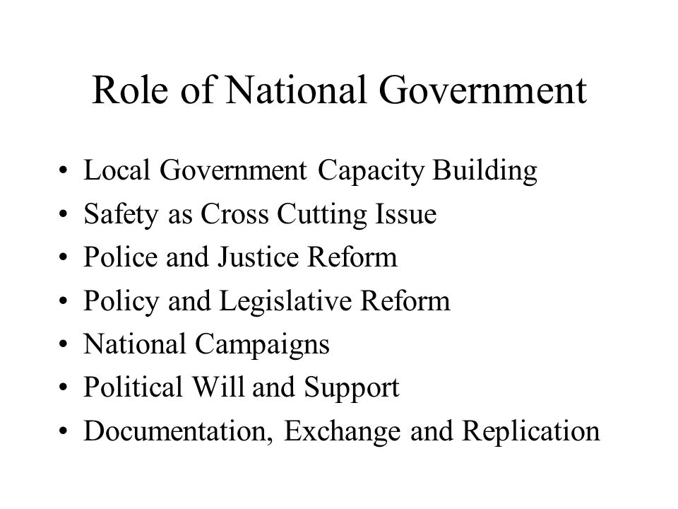 Role of National Government Local Government Capacity Building Safety as Cross Cutting Issue Police and Justice Reform Policy and Legislative Reform National Campaigns Political Will and Support Documentation, Exchange and Replication