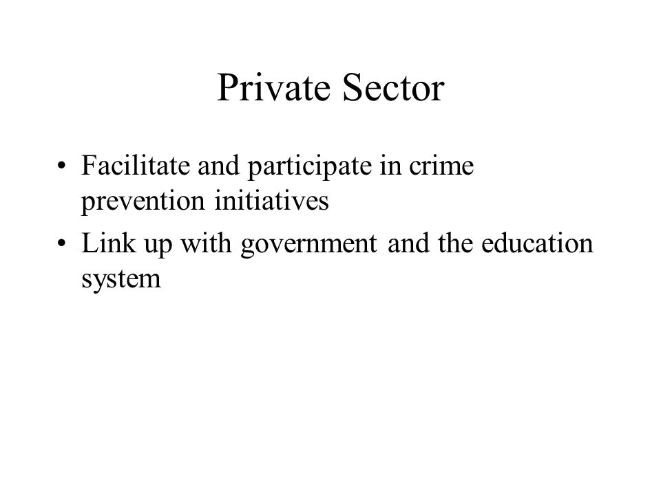 Private Sector Facilitate and participate in crime prevention initiatives Link up with government and the education system