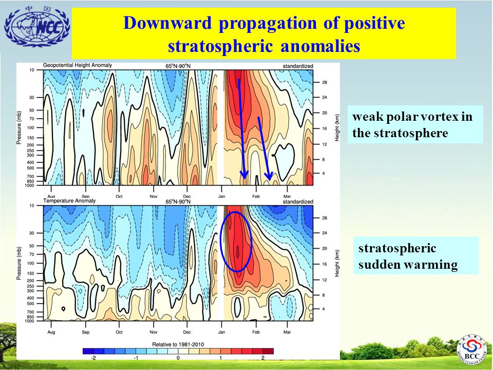 weak polar vortex in the stratosphere stratospheric sudden warming Downward propagation of positive stratospheric anomalies