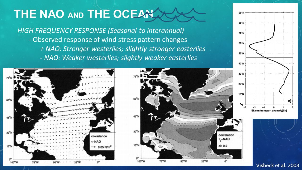 THE NAO AND THE OCEAN HIGH FREQUENCY RESPONSE (Seasonal to interannual) - Observed response of wind stress pattern changes + NAO: Stronger westerlies; slightly stronger easterlies - NAO: Weaker westerlies; slightly weaker easterlies Visbeck et al.