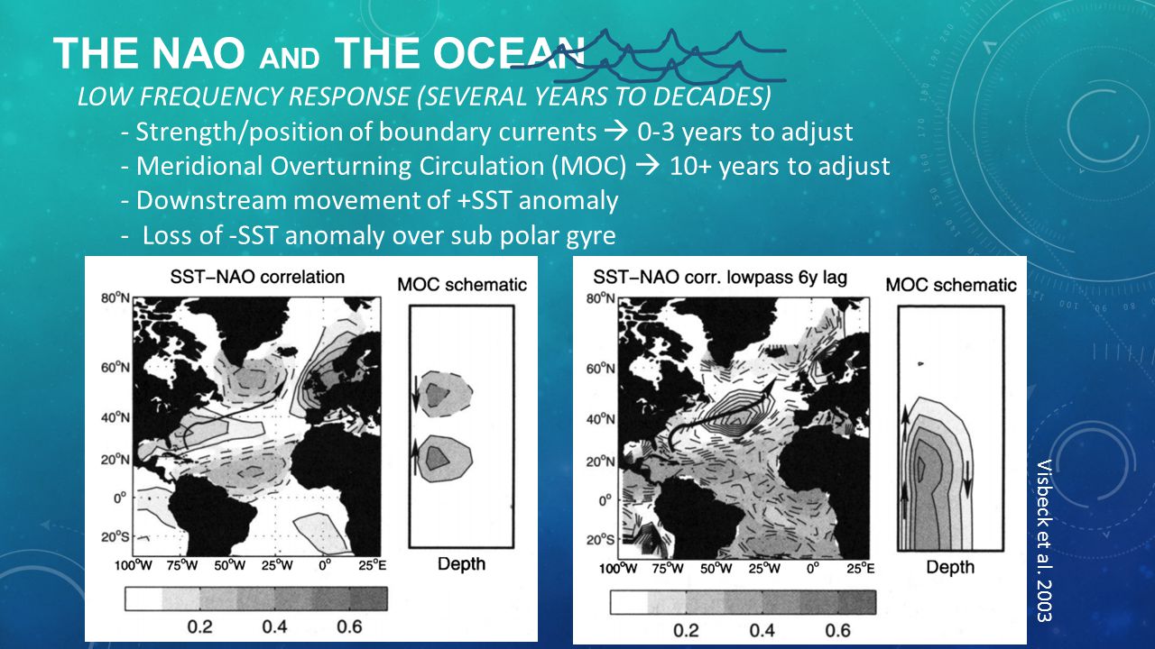 THE NAO AND THE OCEAN LOW FREQUENCY RESPONSE (SEVERAL YEARS TO DECADES) - Strength/position of boundary currents  0-3 years to adjust - Meridional Overturning Circulation (MOC)  10+ years to adjust - Downstream movement of +SST anomaly - Loss of -SST anomaly over sub polar gyre Visbeck et al.