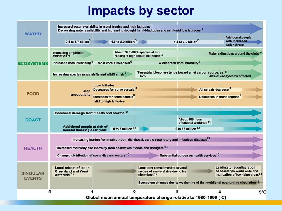 Impacts by sector