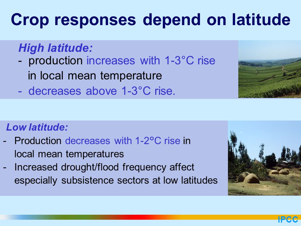 High latitude: - production increases with 1-3°C rise in local mean temperature - decreases above 1-3°C rise.
