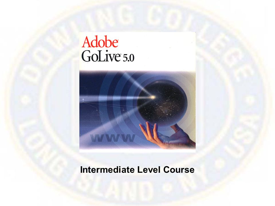 Intermediate Level Course
