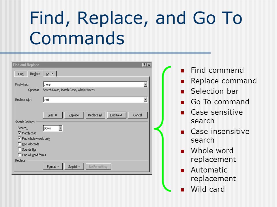 Find, Replace, and Go To Commands Find command Replace command Selection bar Go To command Case sensitive search Case insensitive search Whole word replacement Automatic replacement Wild card