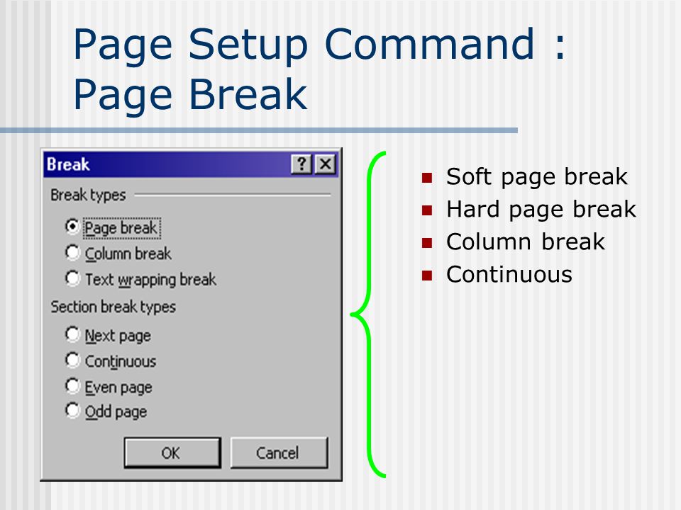 Page Setup Command : Page Break Soft page break Hard page break Column break Continuous