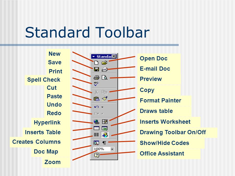 Standard Toolbar Save Print Spell Check Cut Paste Undo Redo Hyperlink Creates Columns Doc Map  Doc Open Doc Preview Draws table Inserts Worksheet Drawing Toolbar On/Off Show/Hide Codes Office Assistant Copy Format Painter Zoom New Inserts Table