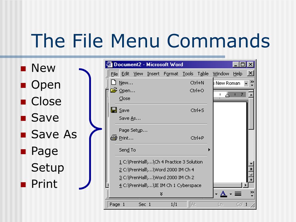 The File Menu Commands New Open Close Save Save As Page Setup Print