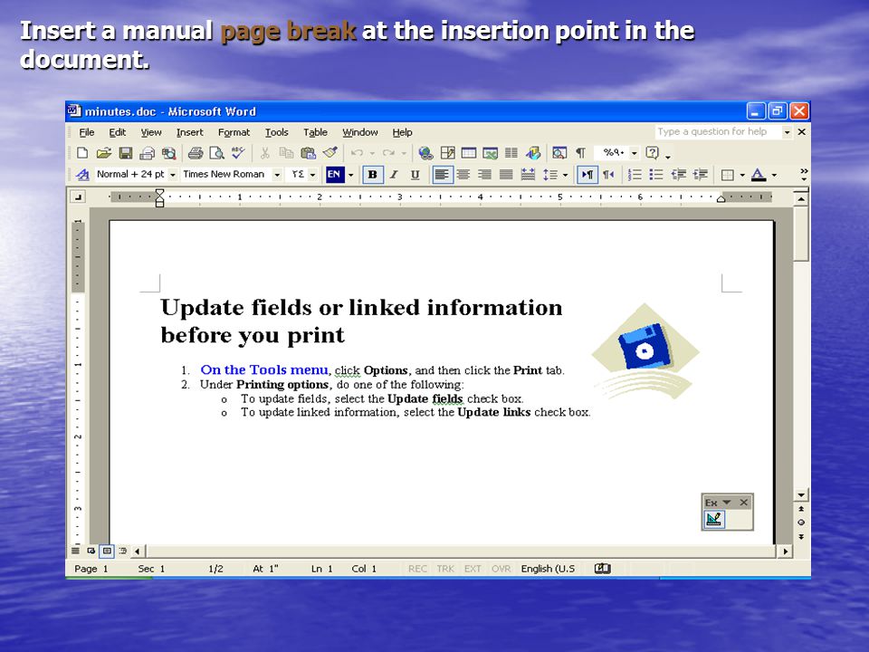 Insert a manual page break at the insertion point in the document.