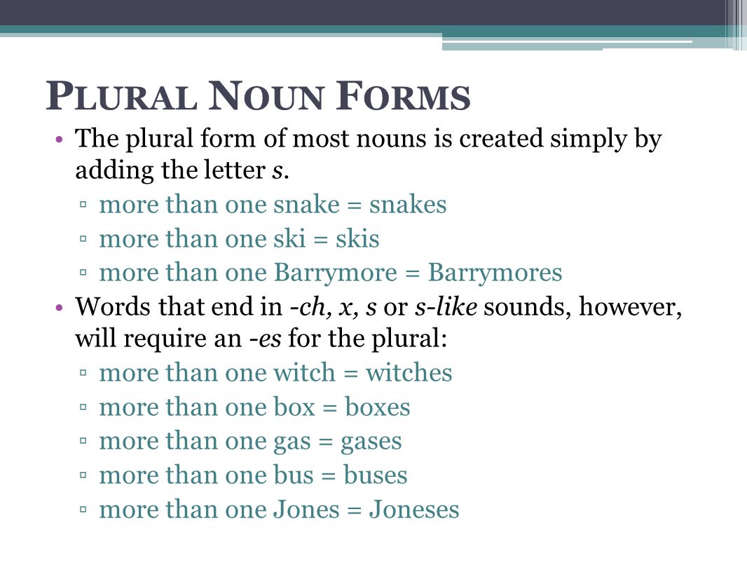 P LURAL N OUN F ORMS The plural form of most nouns is created simply by adding the letter s.